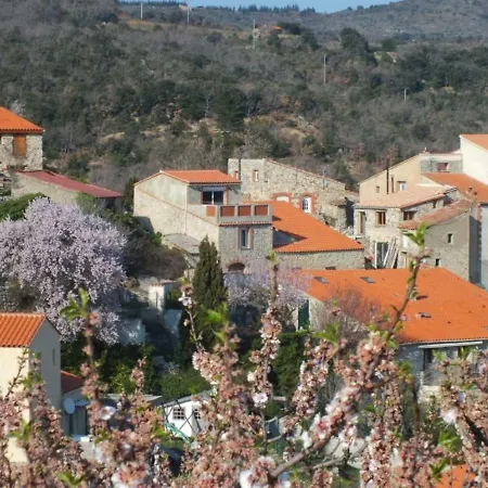 Chez Pierre